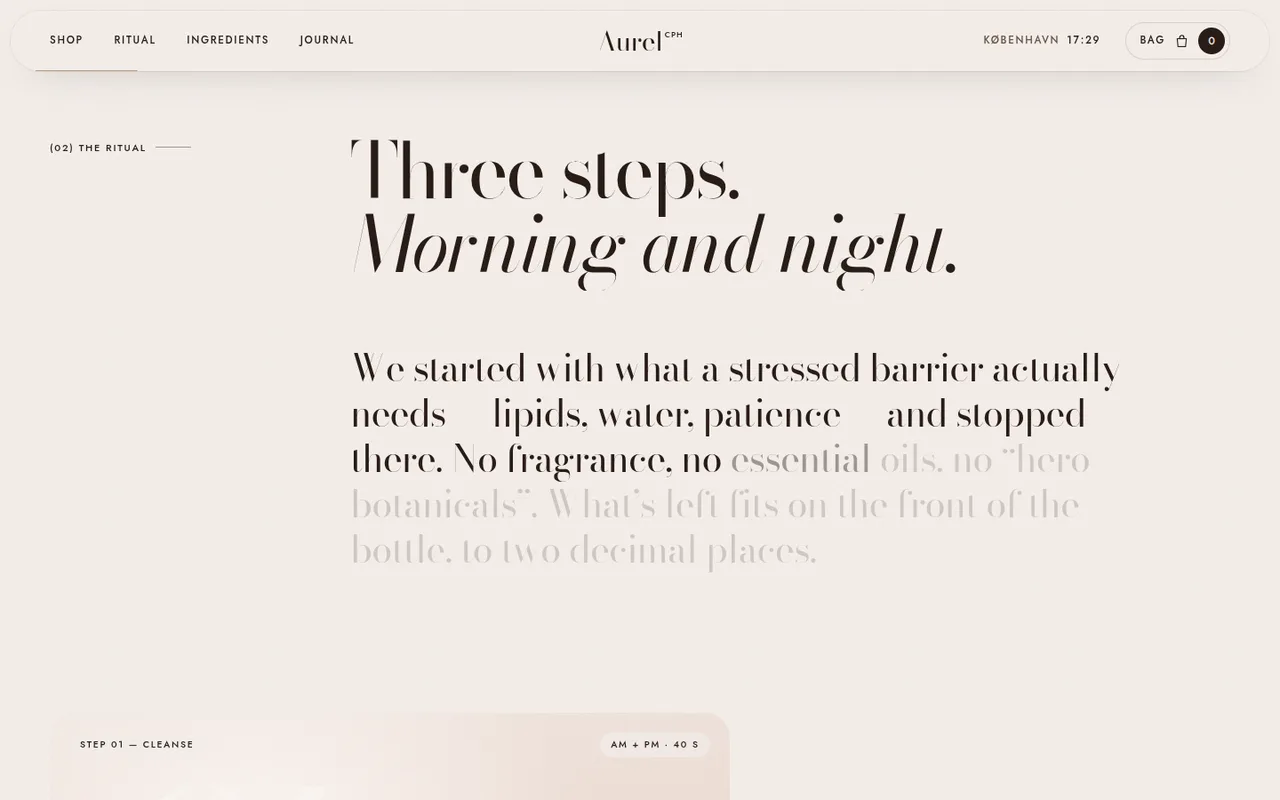 Aurel template — desktop screenshot 1