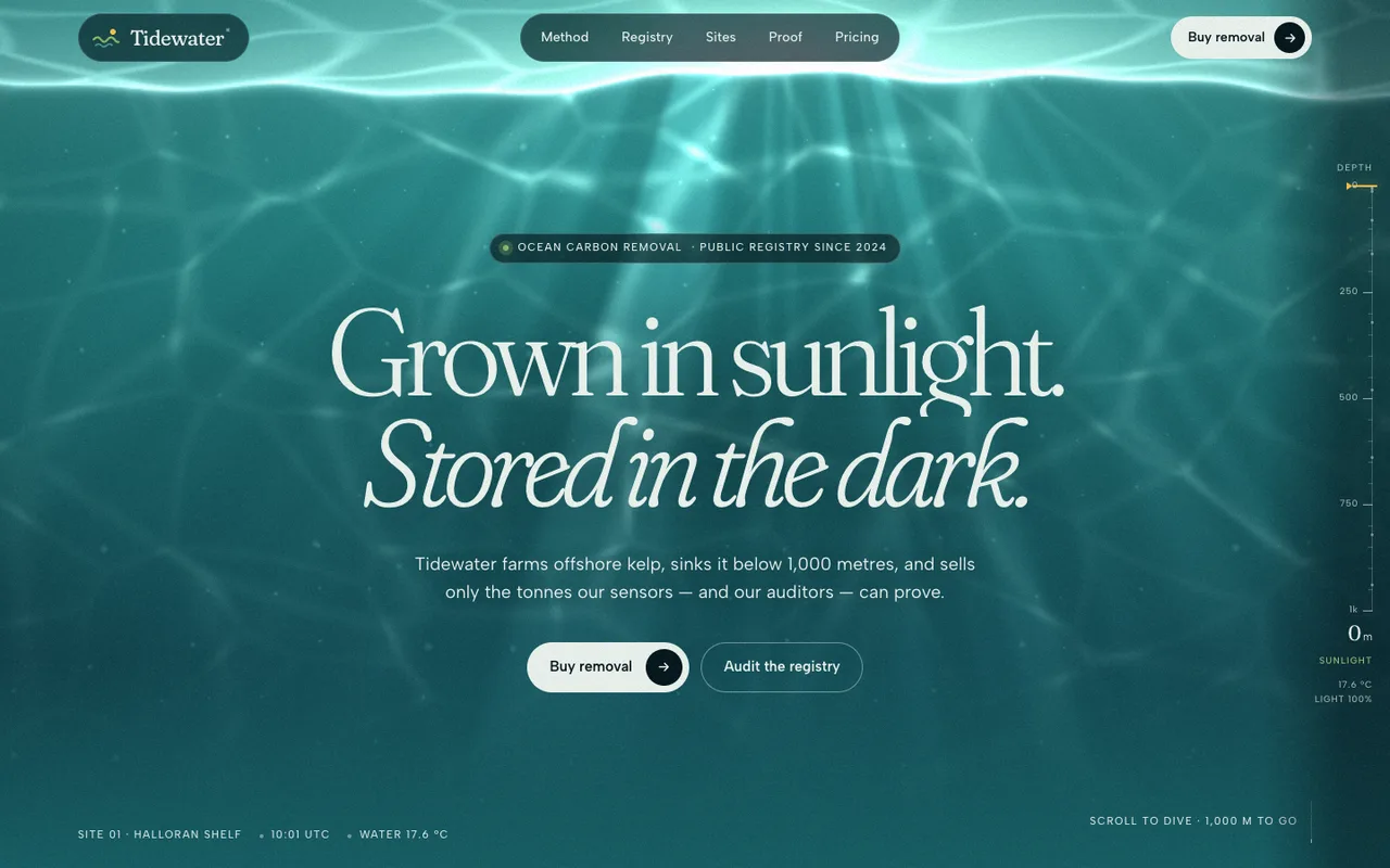 Tidewater template — desktop screenshot 1