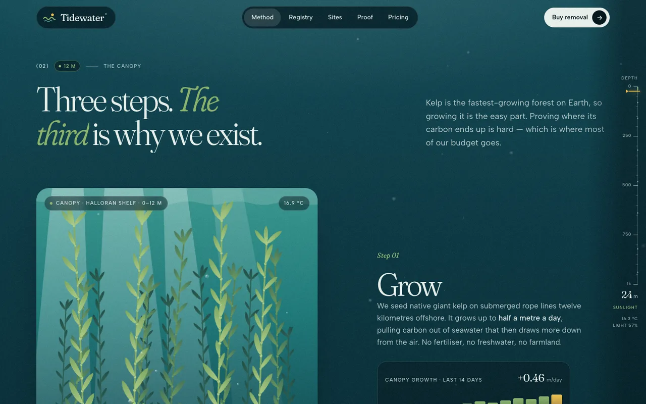 Tidewater template — desktop screenshot 2